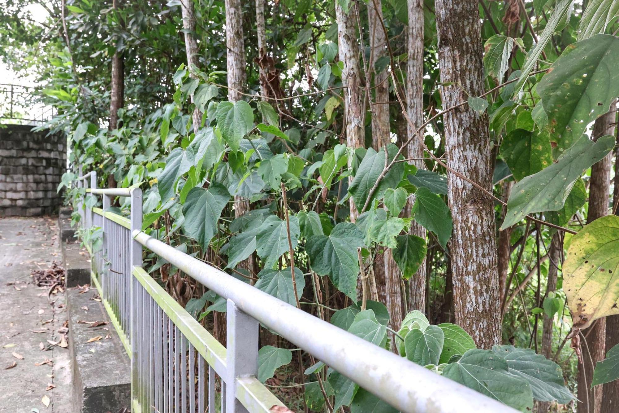 Luxury 2-storey Terrace House Near Ioi Mall Rumah percutian